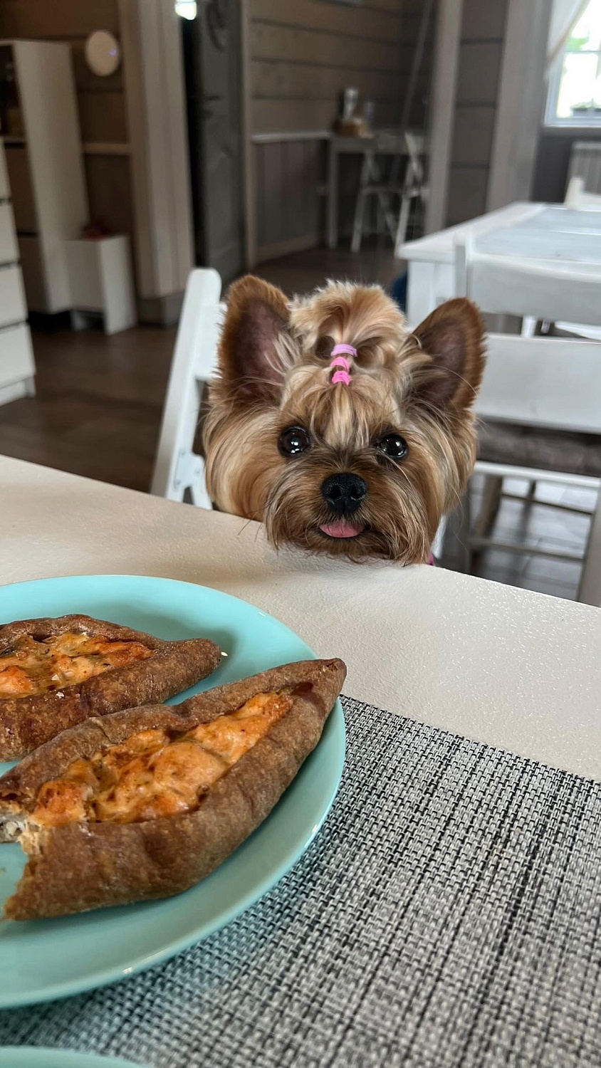 Наши друзья