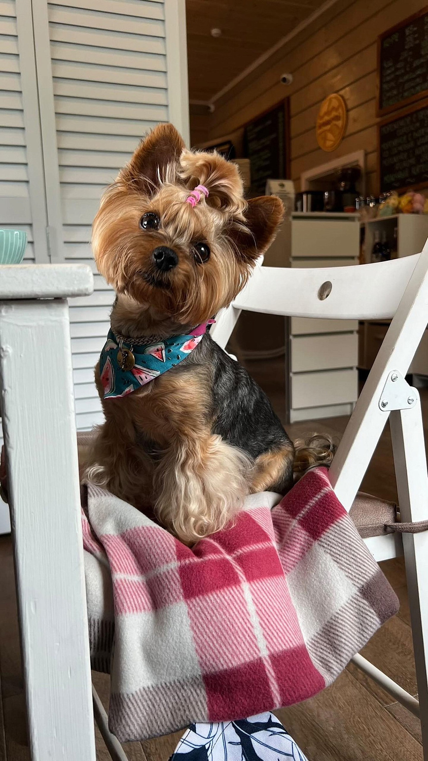 Наши друзья