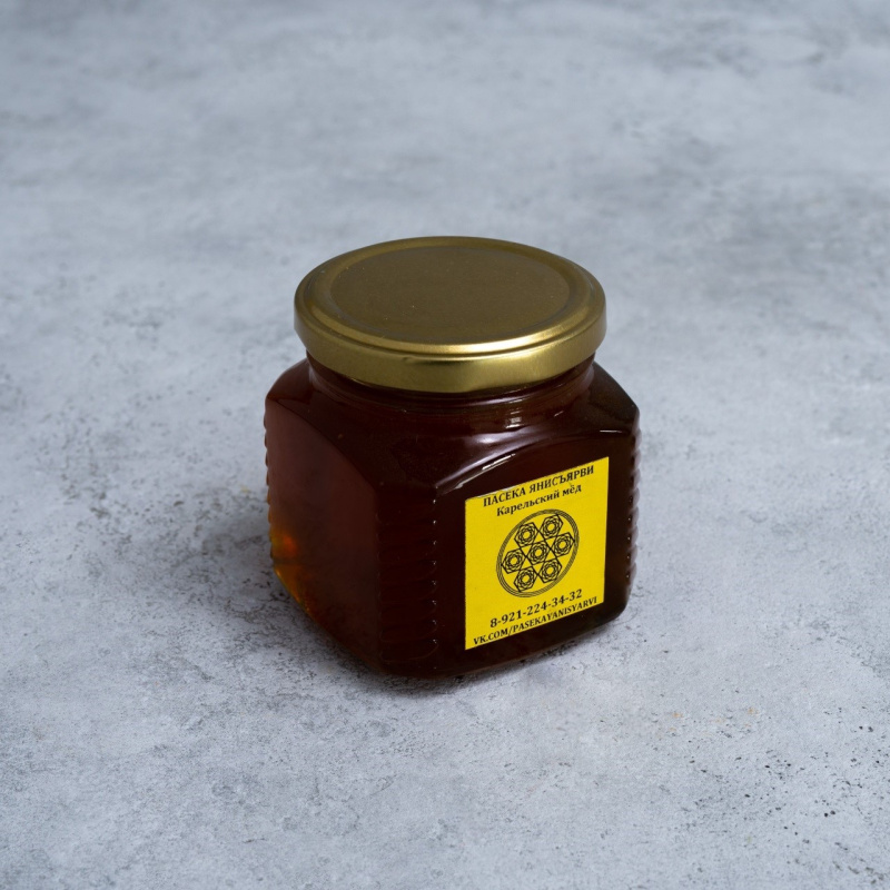 приладожье (39)