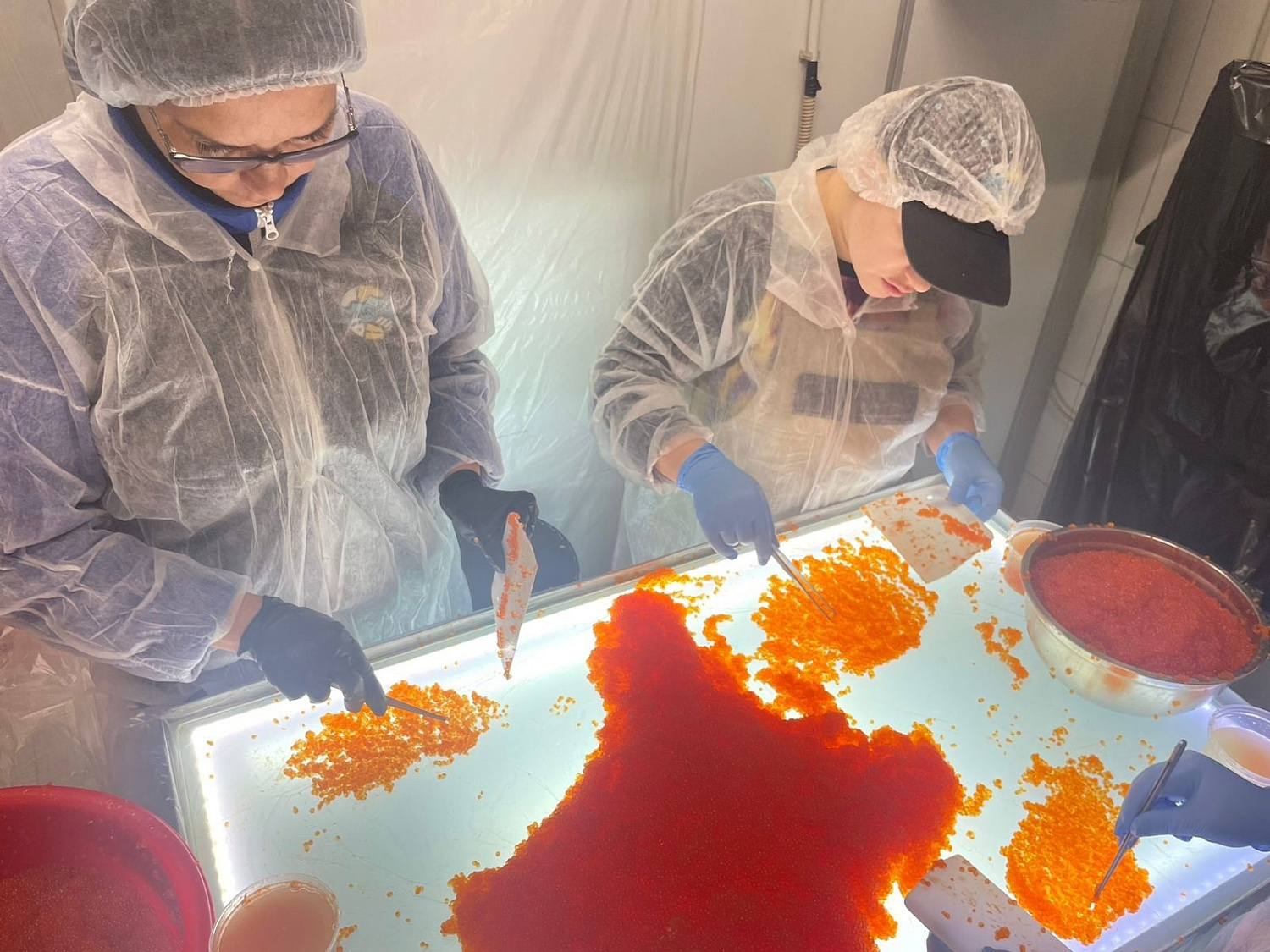 Сезон «Не трогайте, это на Новый год!» открыт 