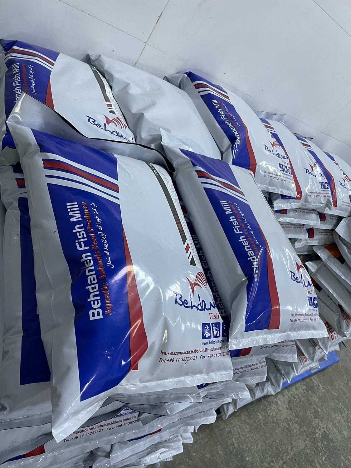 Курс на Восток