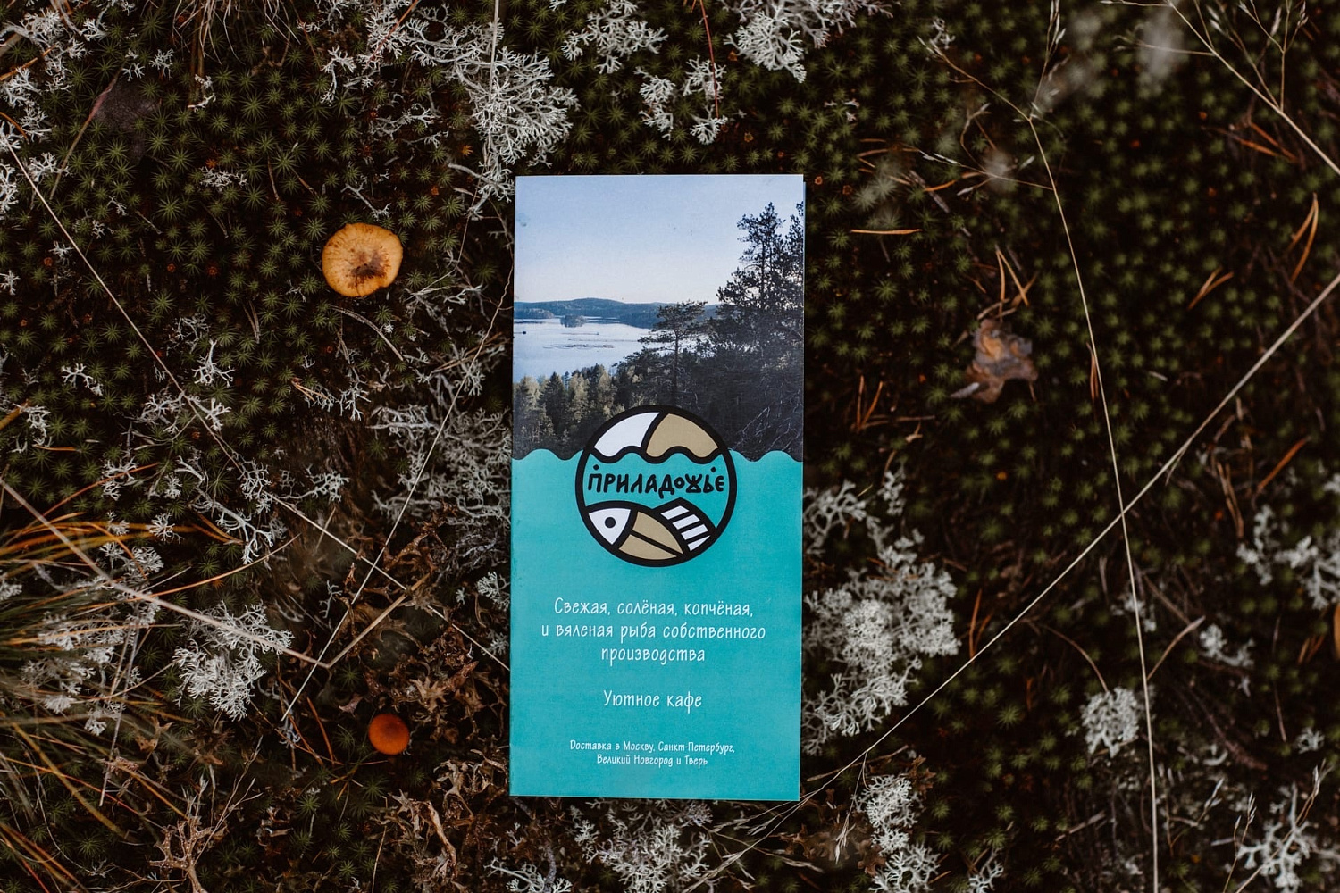 Снижение стоимости доставки!