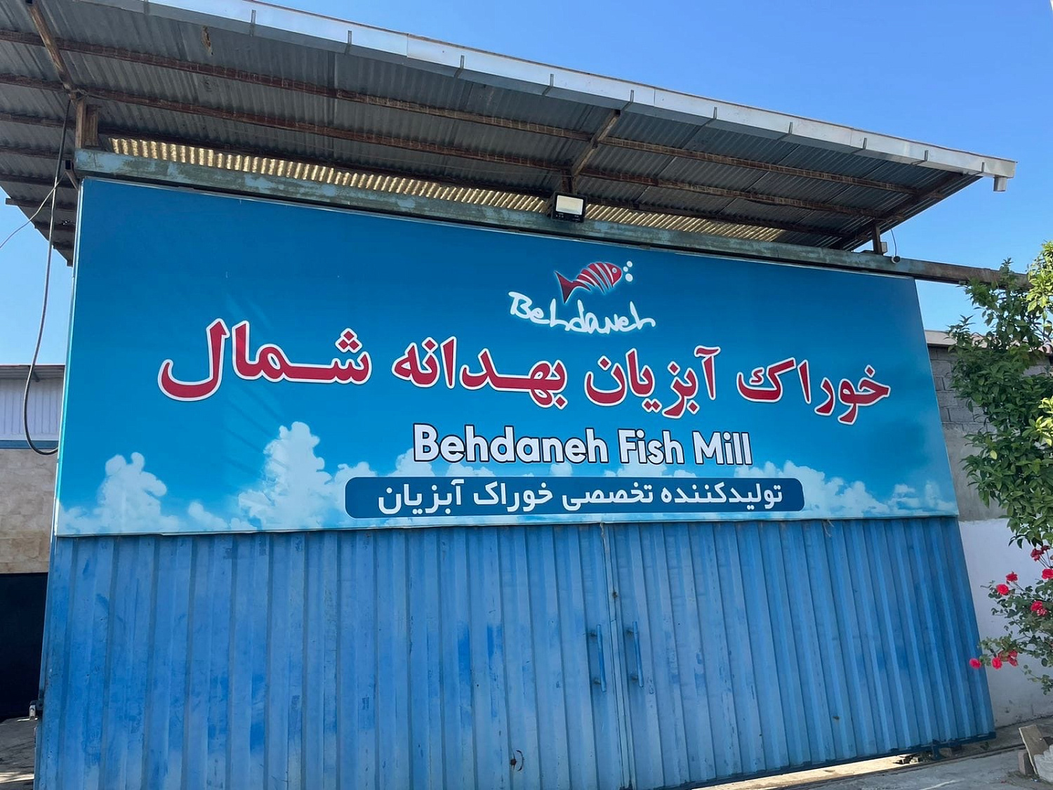 Курс на Восток