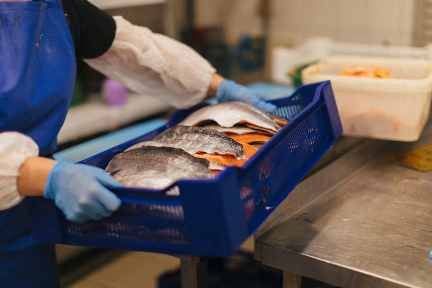 Наши «помощники»