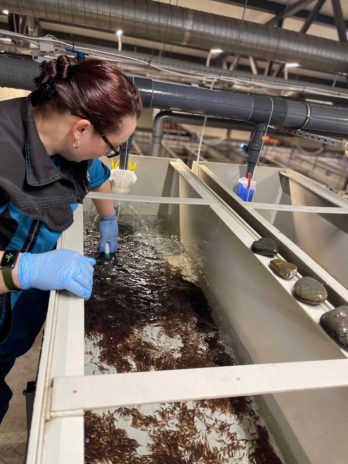 Наша команда