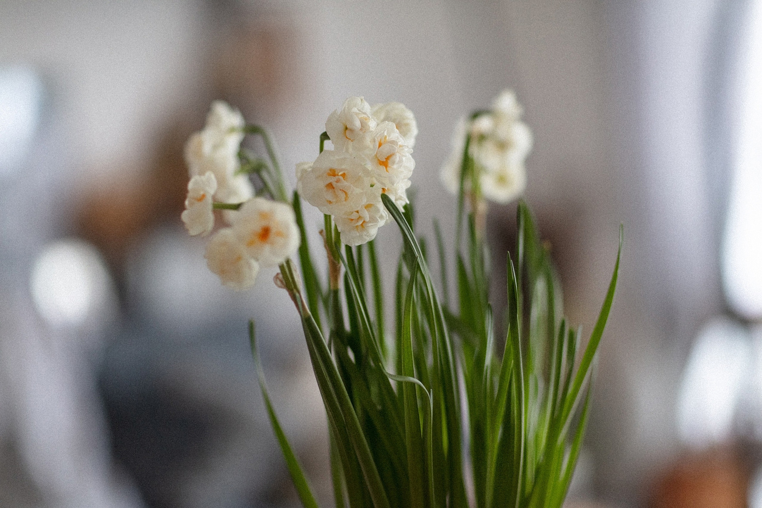 С праздником Светлой Пасхи!