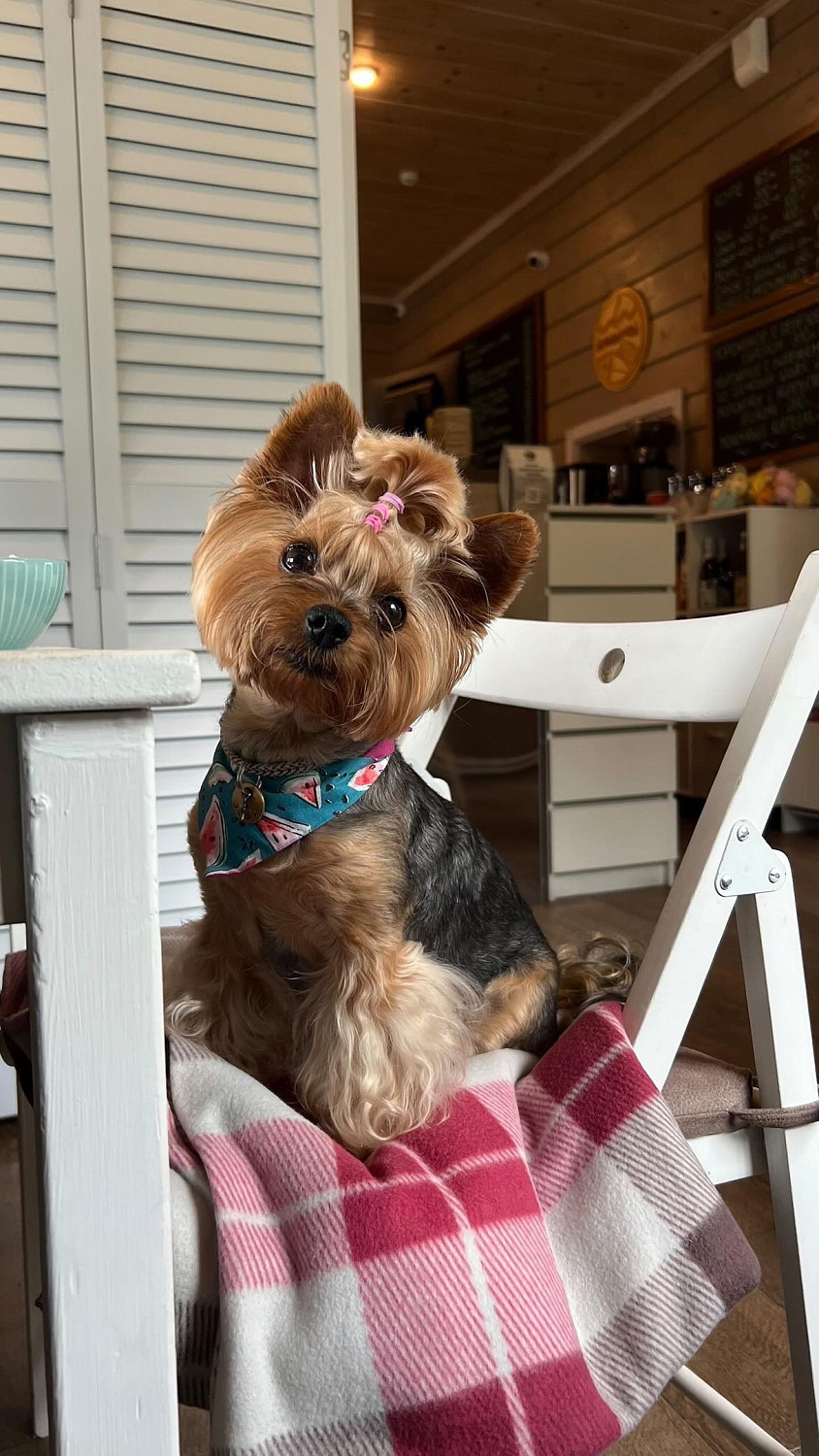 Наши друзья