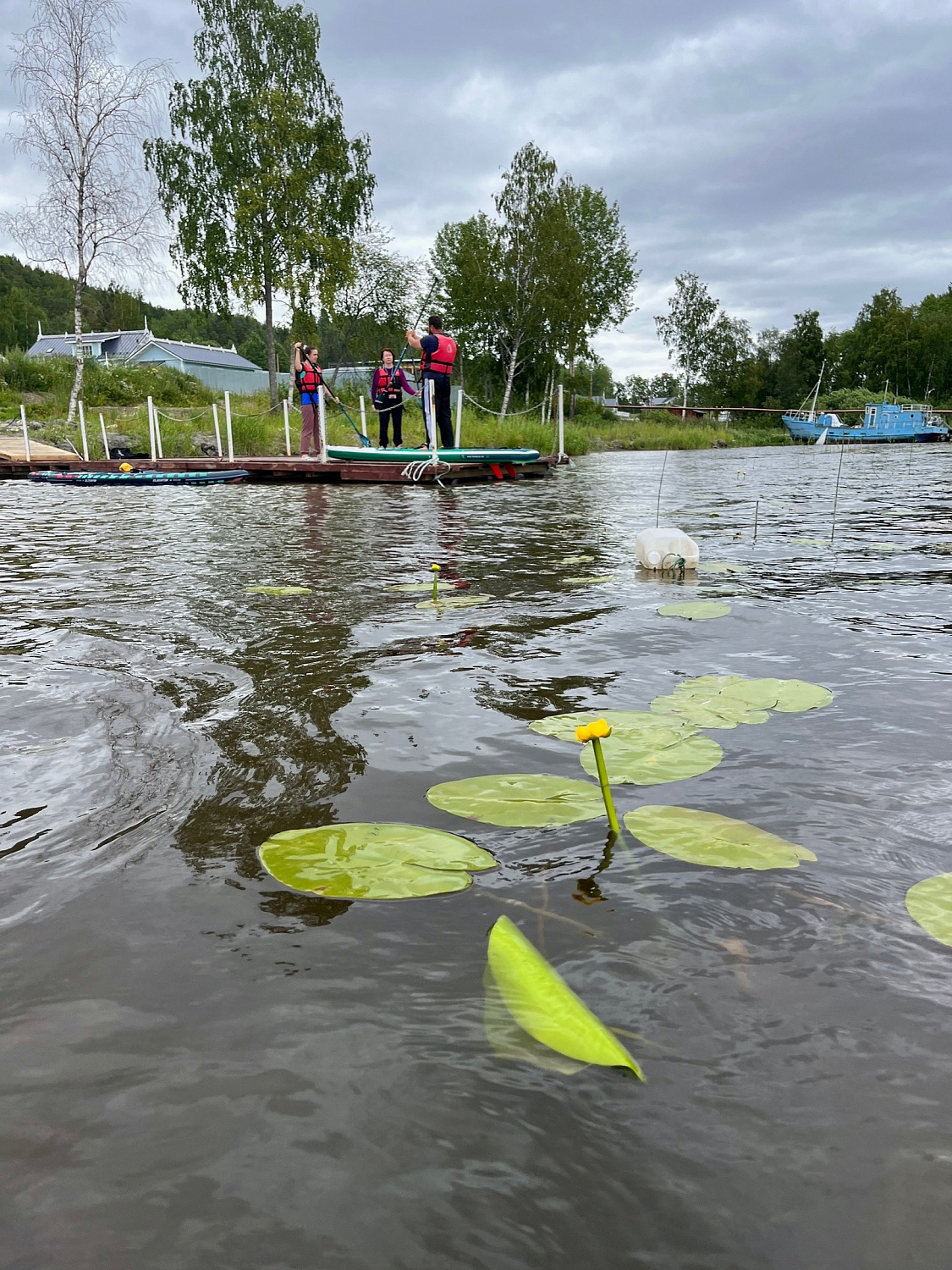 Программа фестиваля «ПриладожьеКемп»