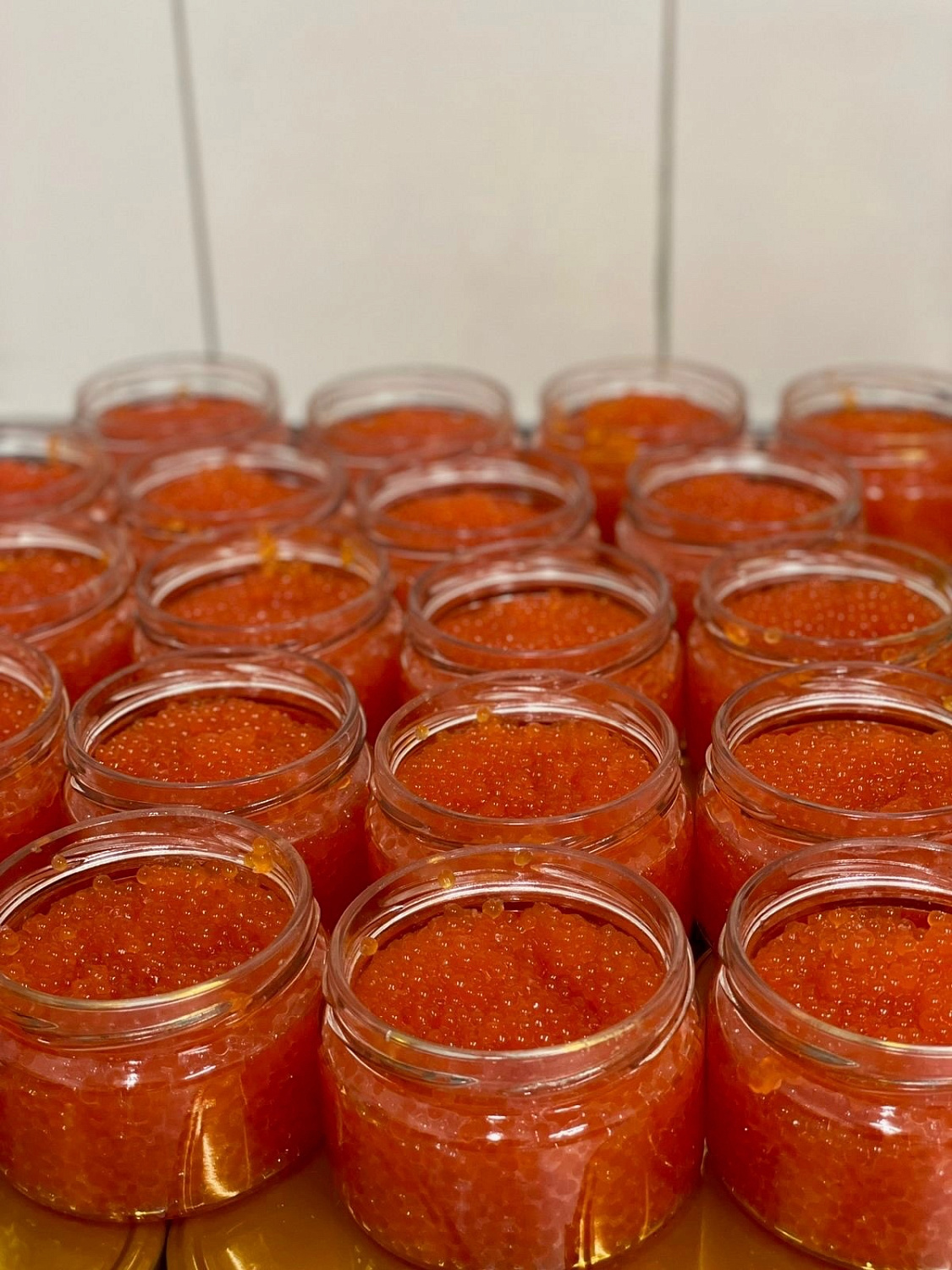 Открываем сезон форелевой икры 2023