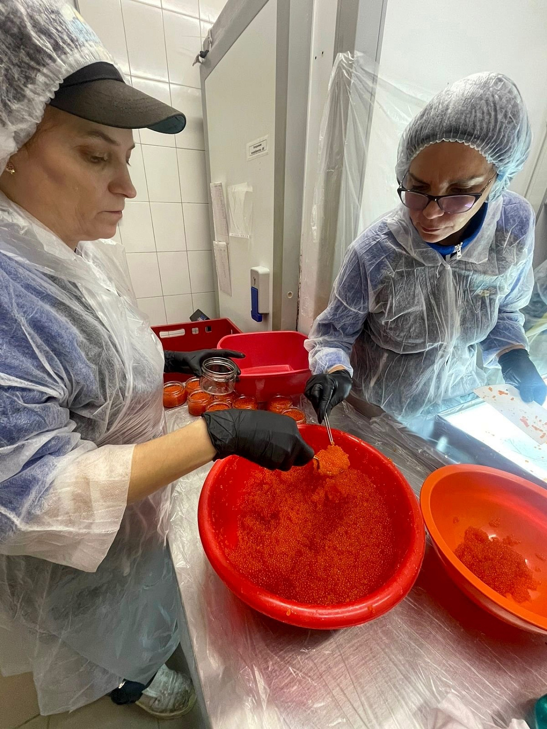 Открываем сезон форелевой икры 2023