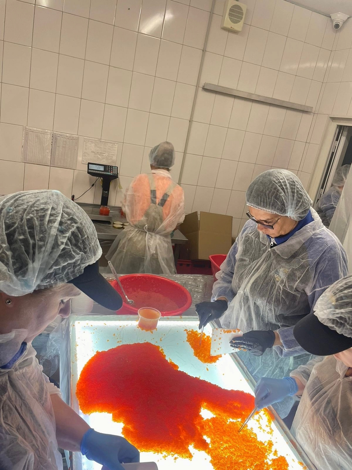 Сезон «Не трогайте, это на Новый год!» открыт 