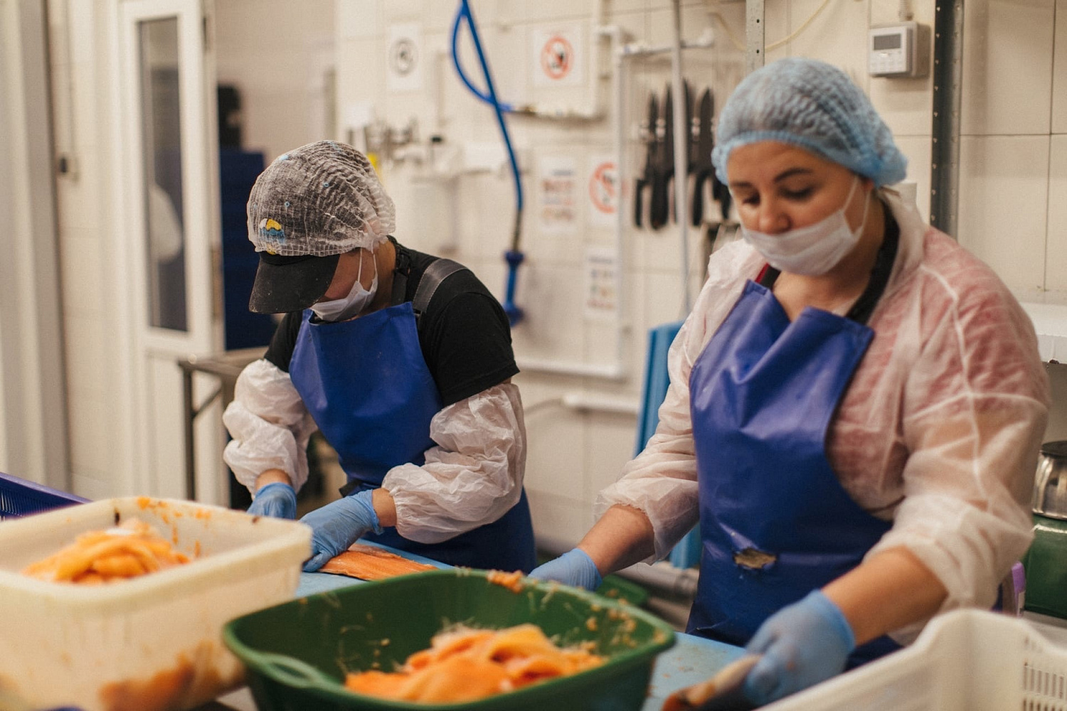 Наши «помощники»