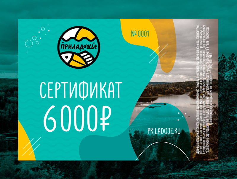 Электронный подарочный сертификат (номинал 6000 ₽)