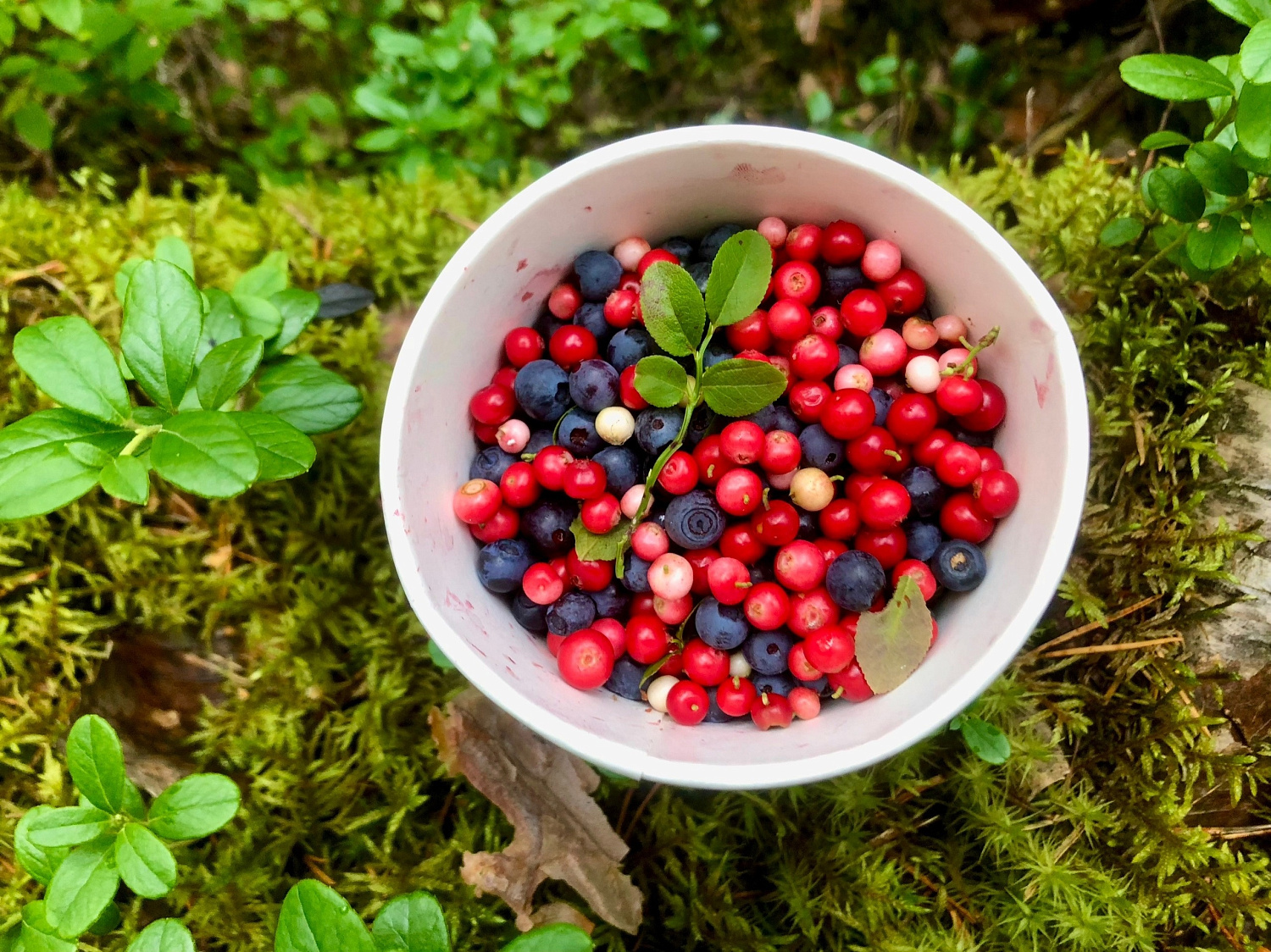 Витаминный бум!