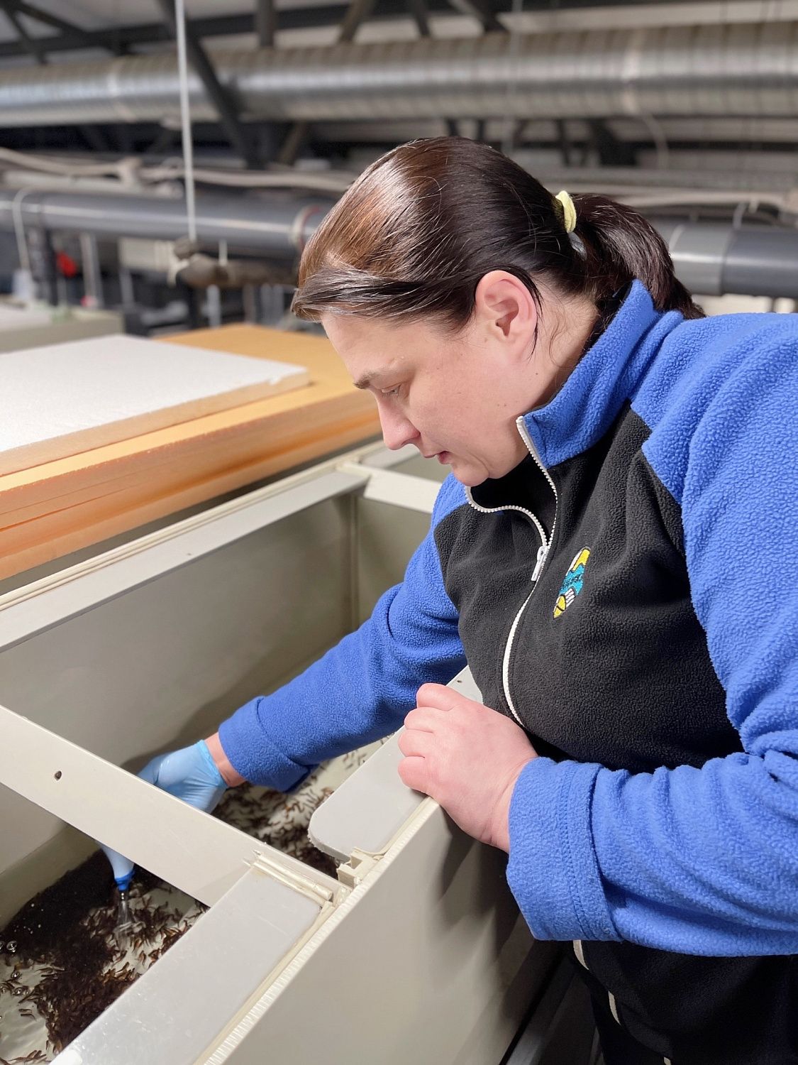 Наша команда