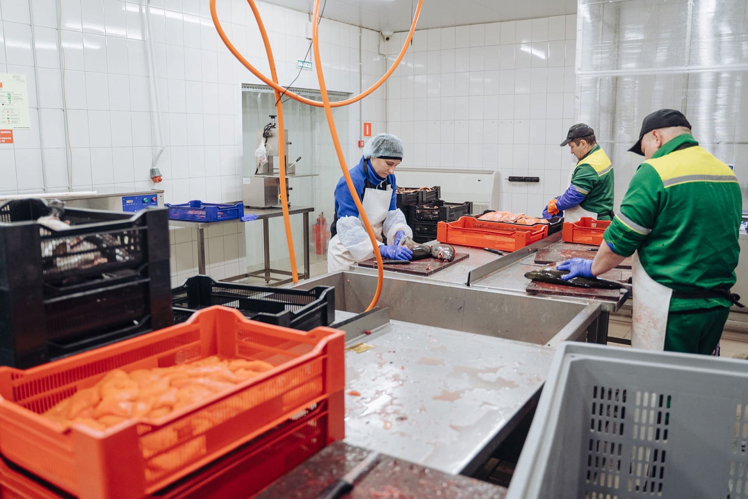 1 год заводу «Приладожье»