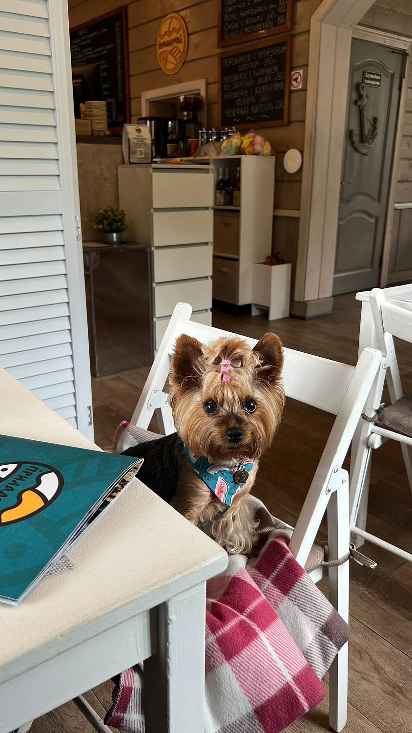 Наши друзья