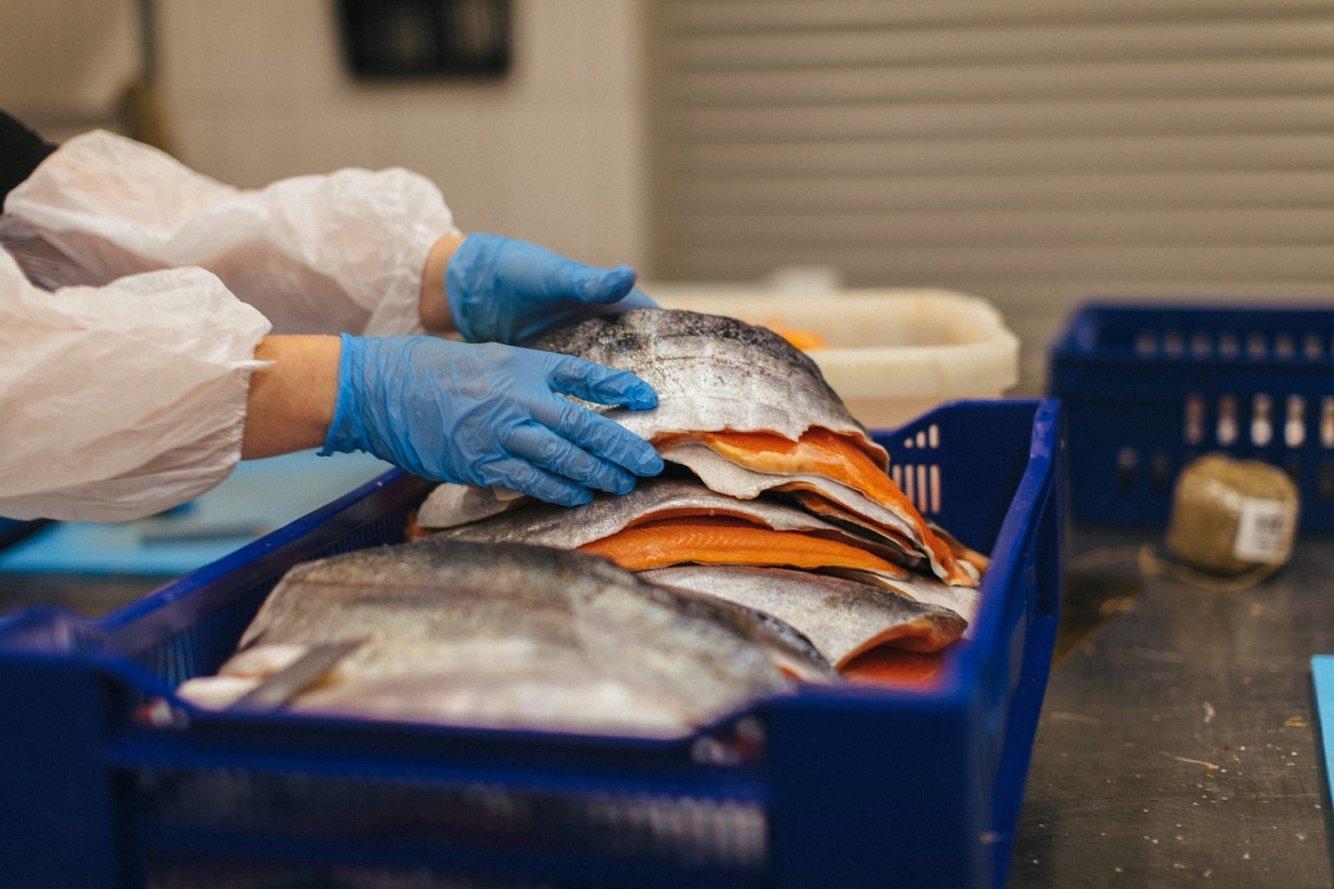 Наши «помощники»