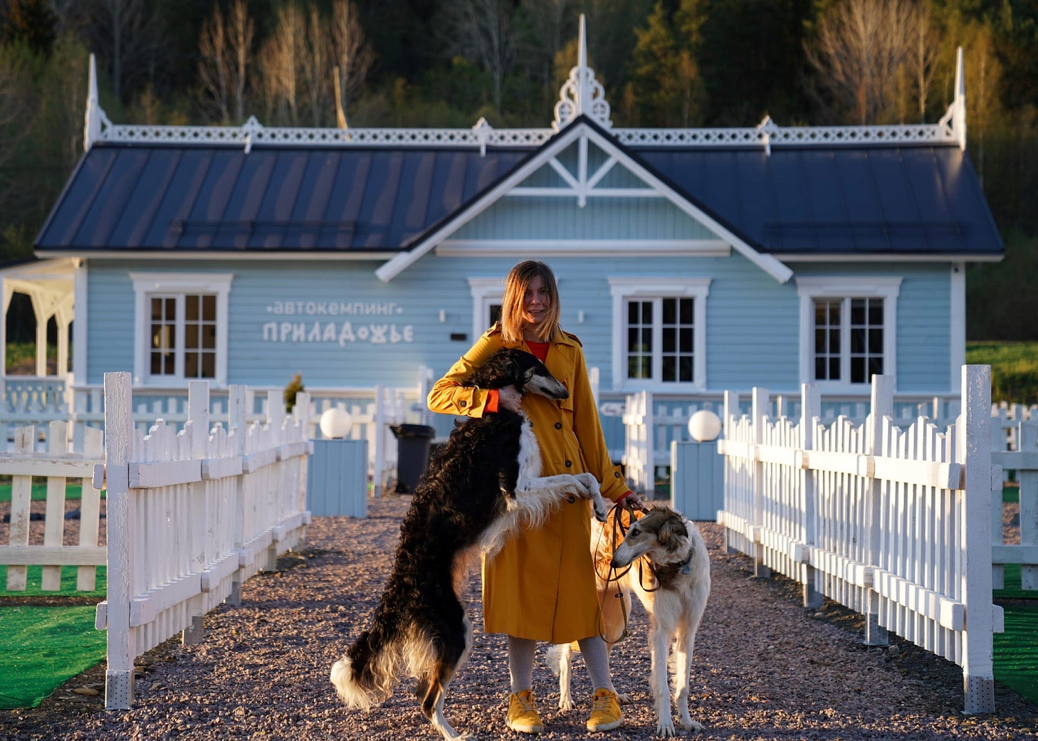 Наши друзья