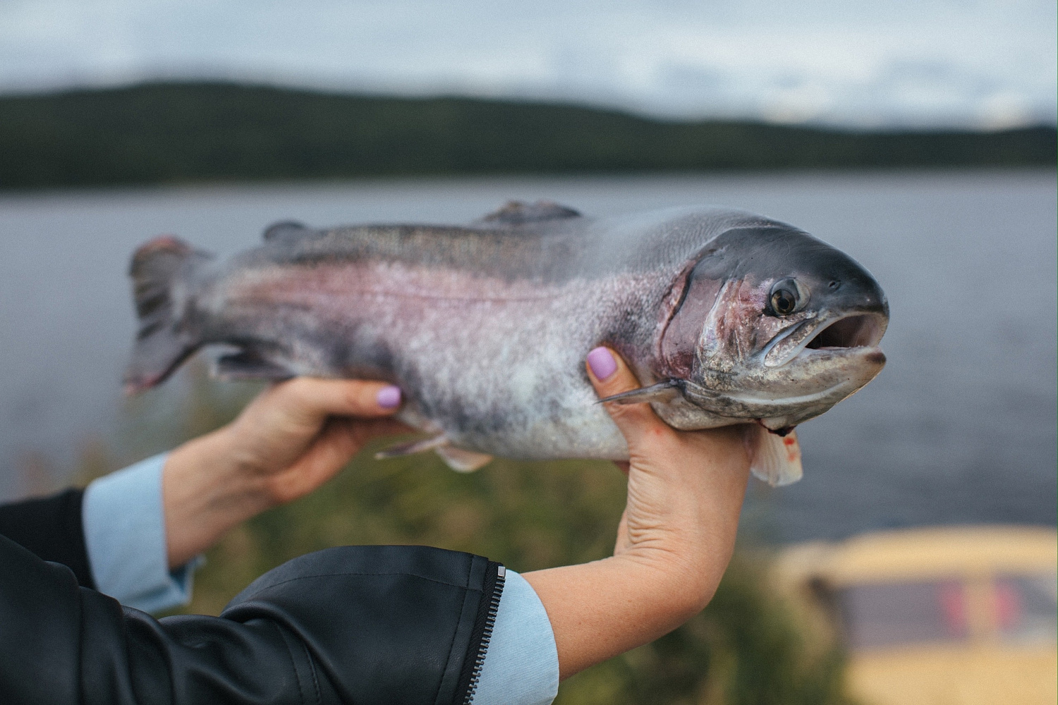 Как в жару перевозить/хранить нашу форель и продукцию?